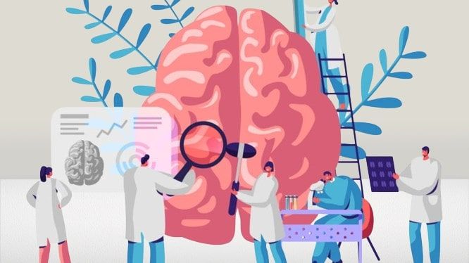 Branches of Psychology and examples of these branches