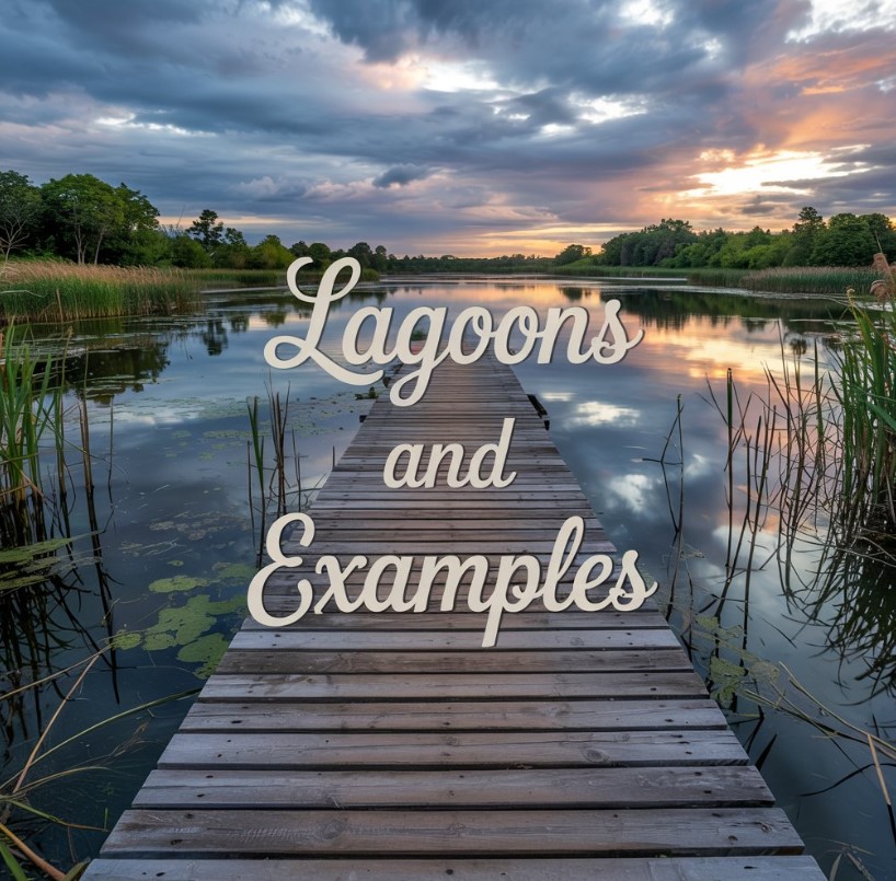 Lagoons and Examples